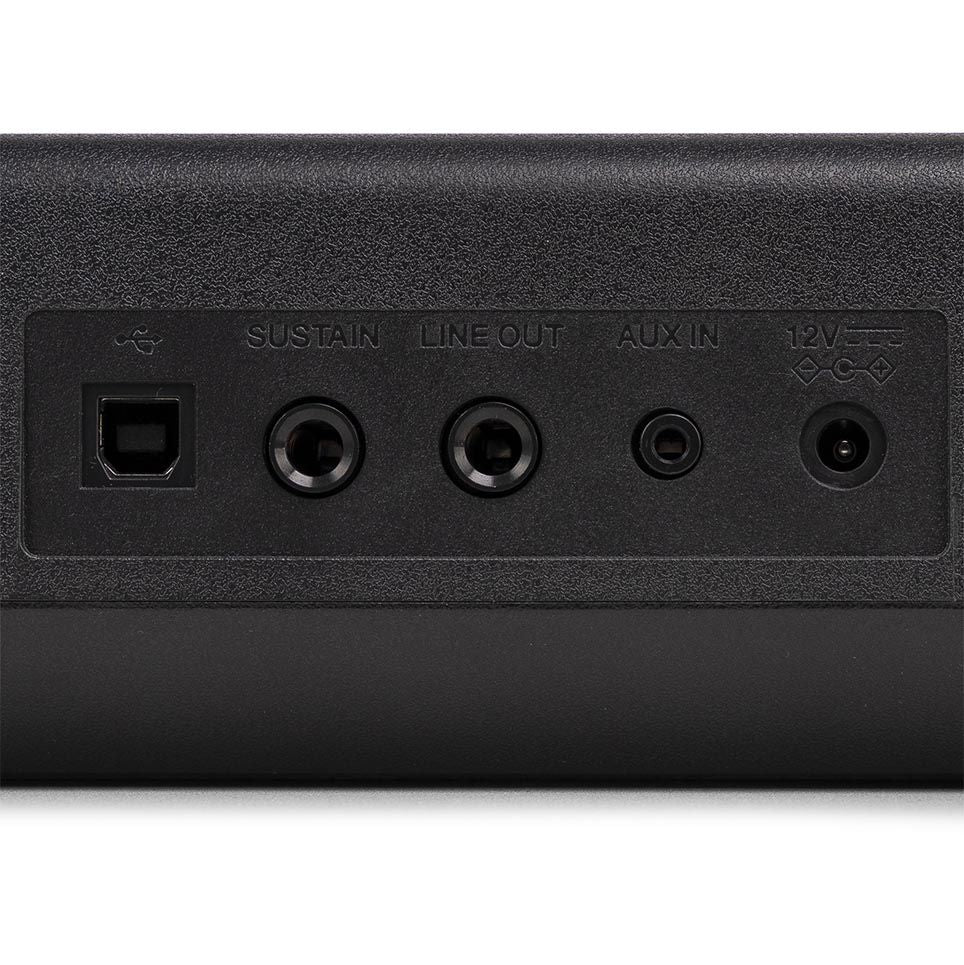 DP88P product image 07